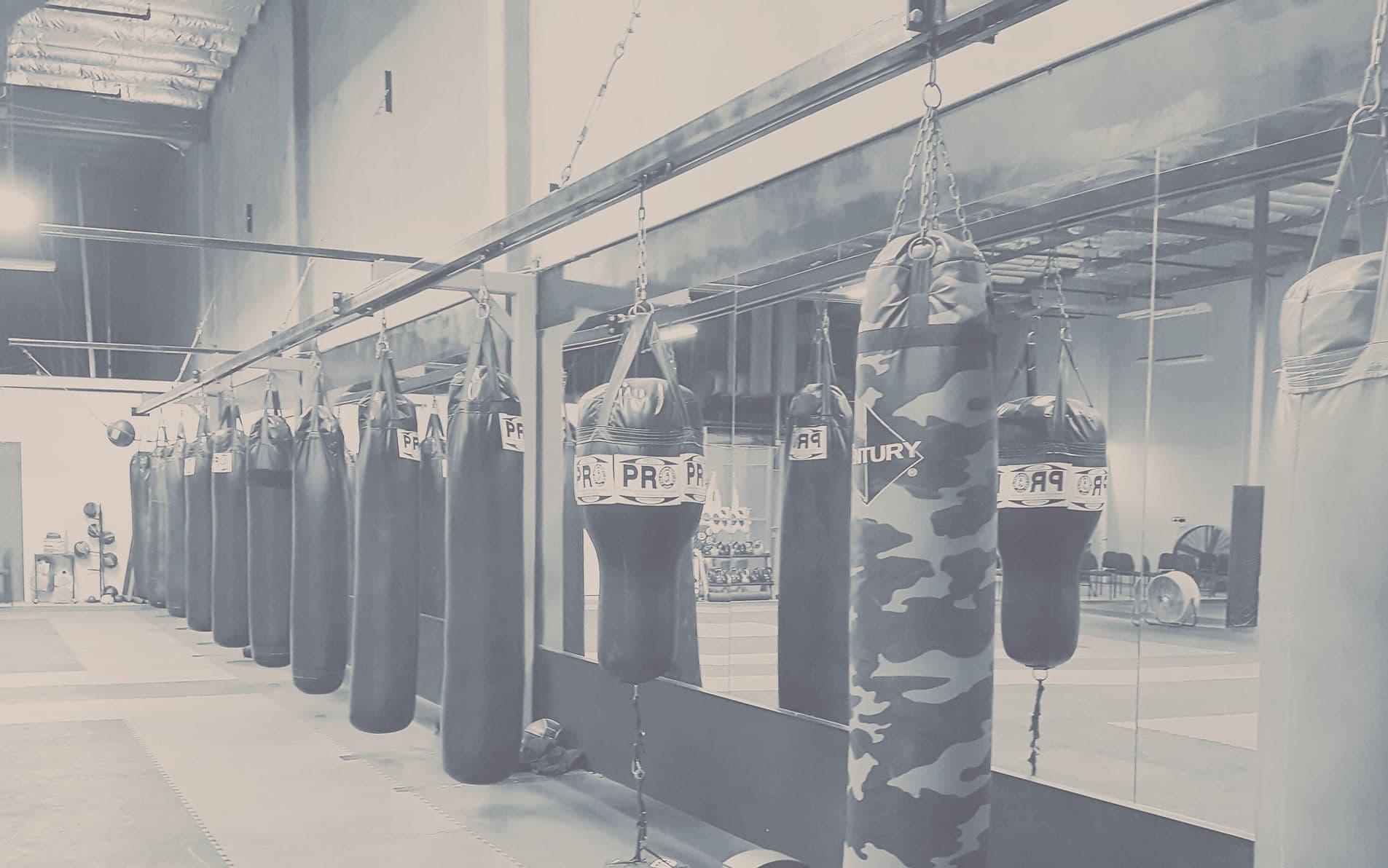 Exterior or interior of Arena Training Center
