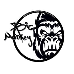 BIG MONKEY WRESTLING & GRAPPLING logo