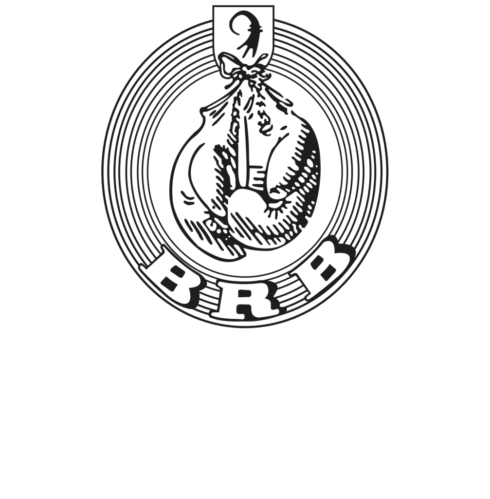 Boxring Basel logo
