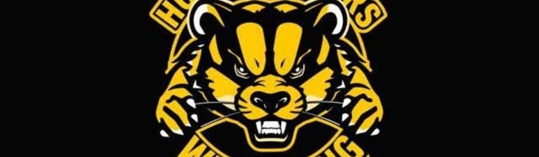Exterior or interior of Honey badgers wrestling