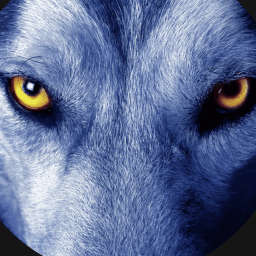 Exterior or interior of LoneWolf Wrestling